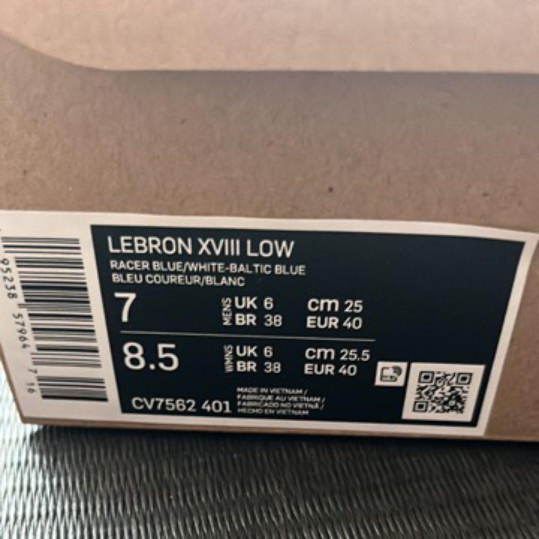 NIKE レブロン18 スペースプレイヤーズ