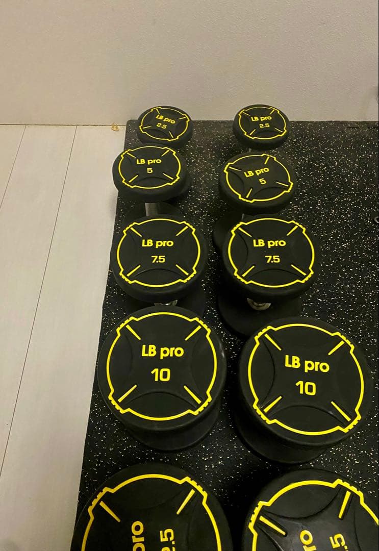 業務用 LP gym TPUダンベル 140kg②
