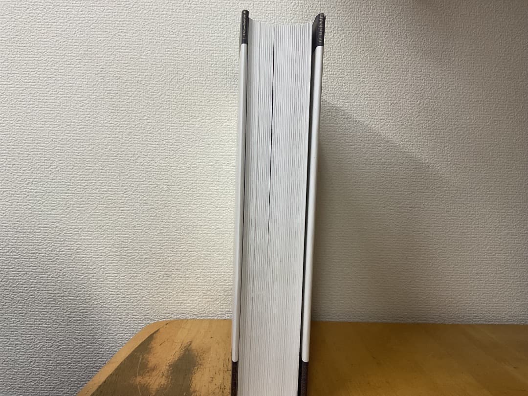 中国印石図譜 ZHONG GUO YIN SHI TU PU 童辰翊