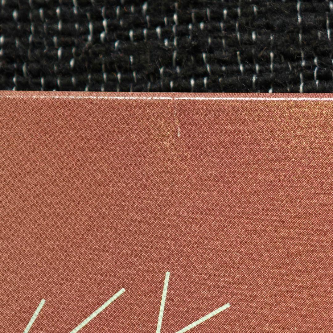 佐藤千亜妃 SickSickSickSick LP