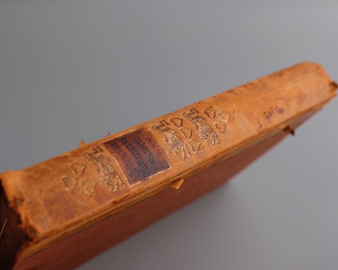 20世紀初頭にデンマークで出版された『丹麦歴史插図本』