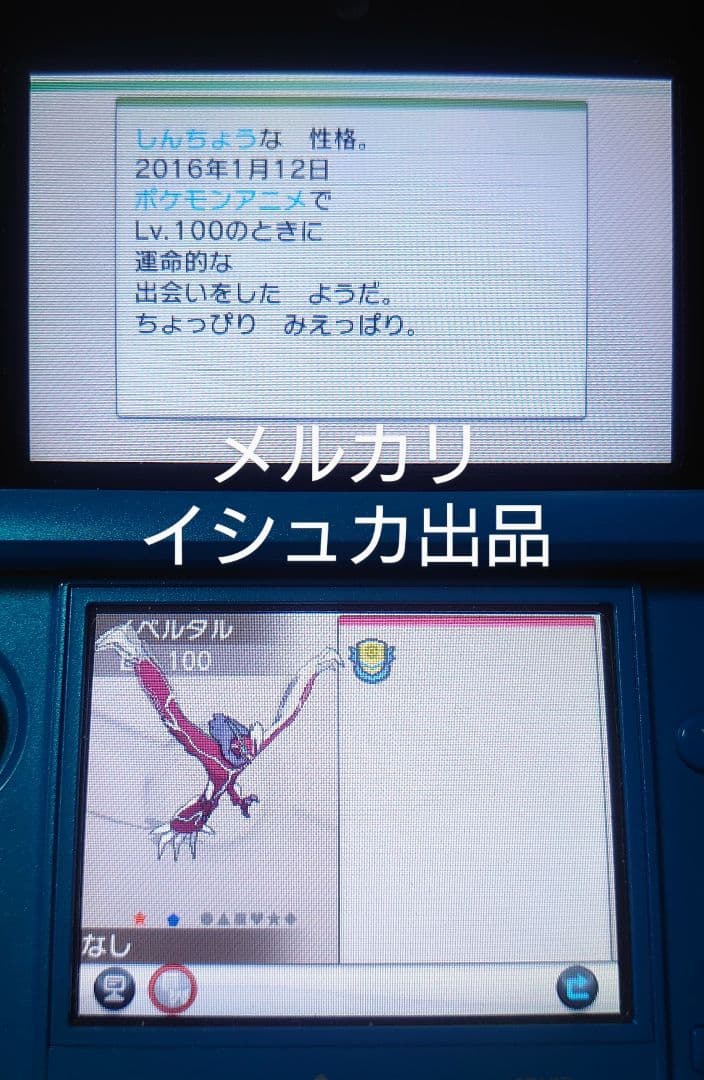 ⑥【専用】 Nintendo ニンテンドー ポケモン ポケットモンスター Y