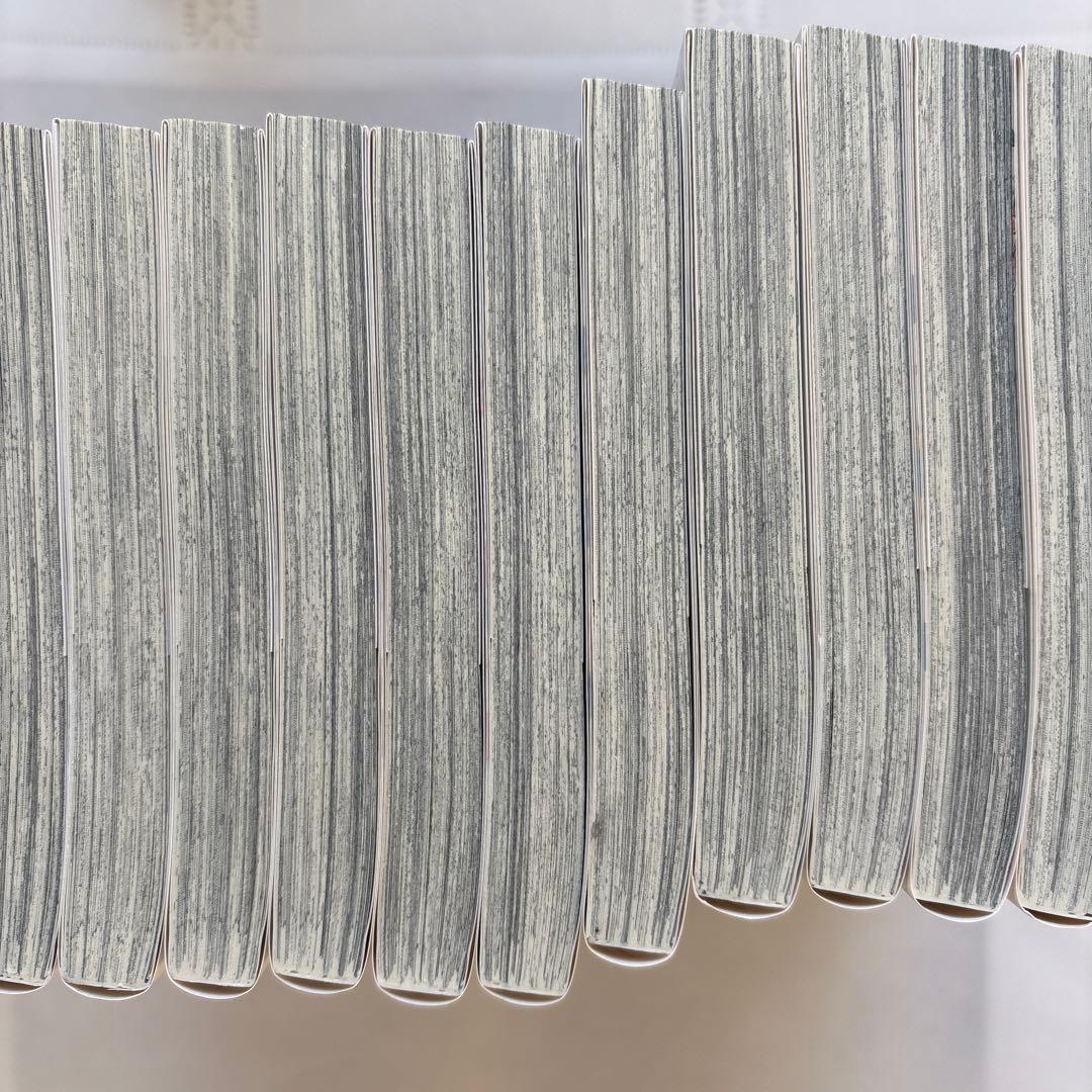 星降る王国のニナ1〜16 リカチ