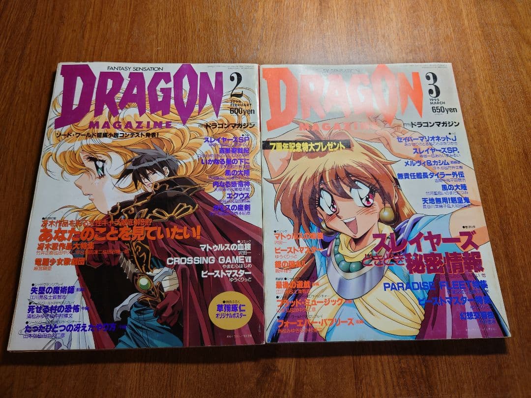 富士見書房 月刊ドラゴンマガジン ×12冊