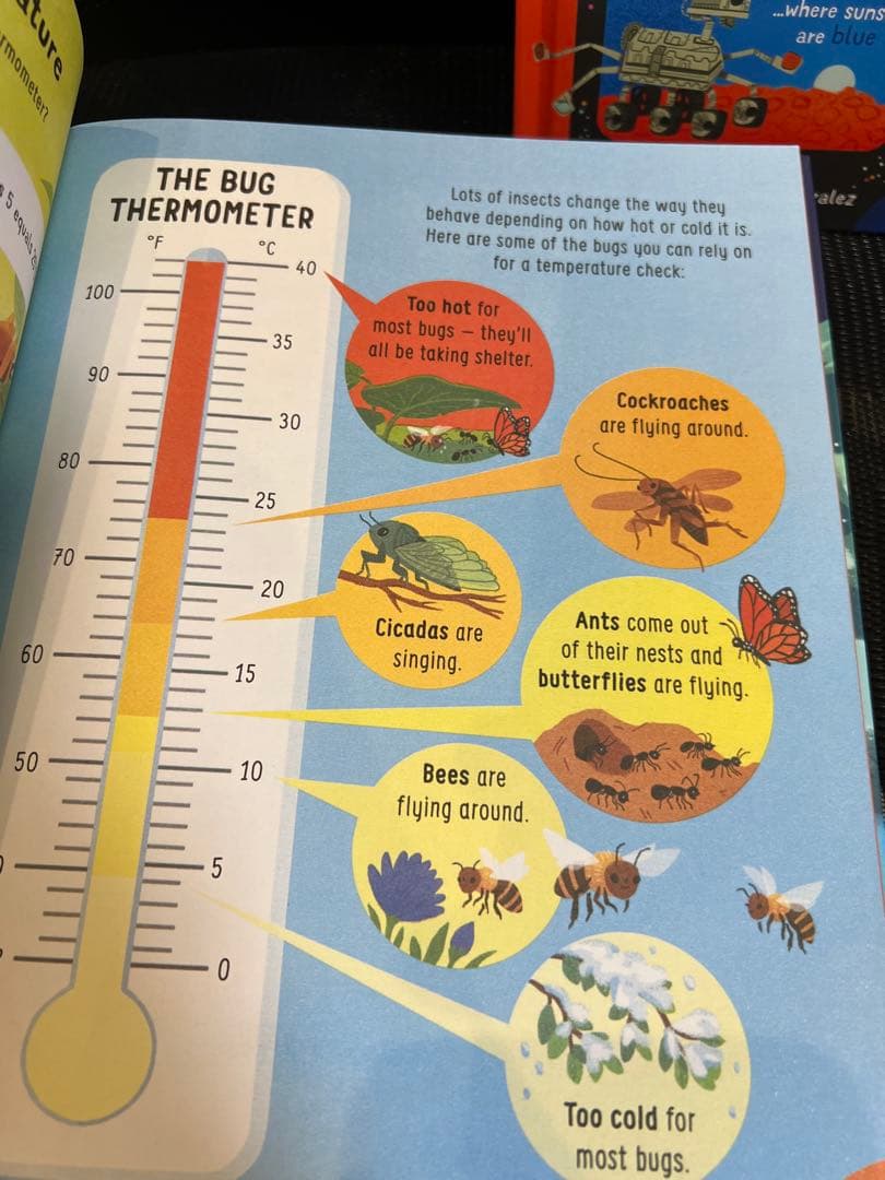 英語絵本　Lots of things to know about シリーズ5冊