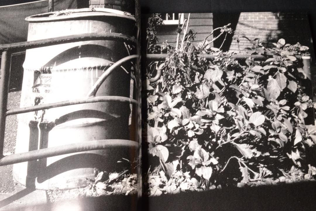 【流石 / RYU U SE KI - HYSTERIC No.10】荒木経惟