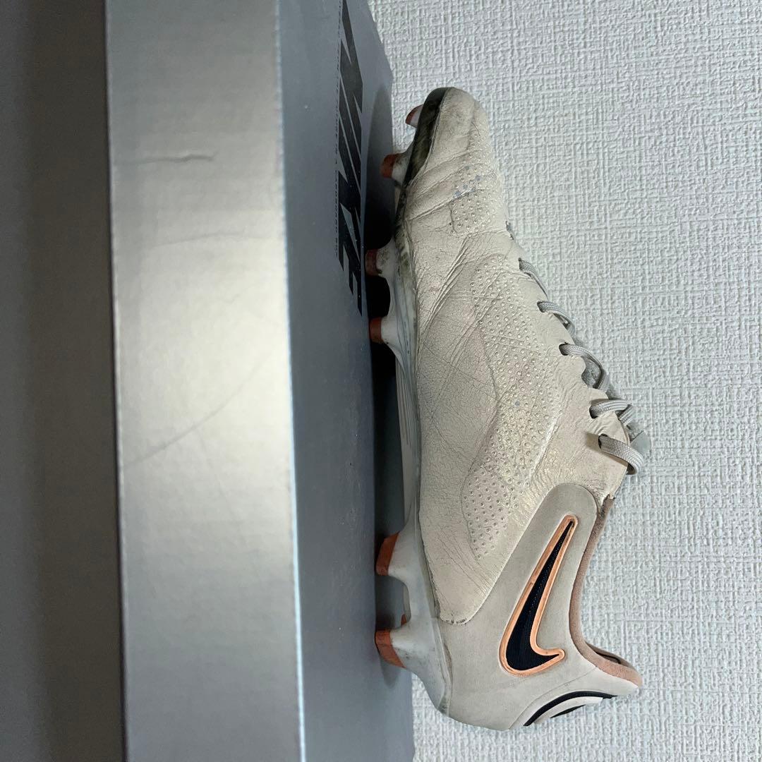 ティエンポレジェンド9 fg