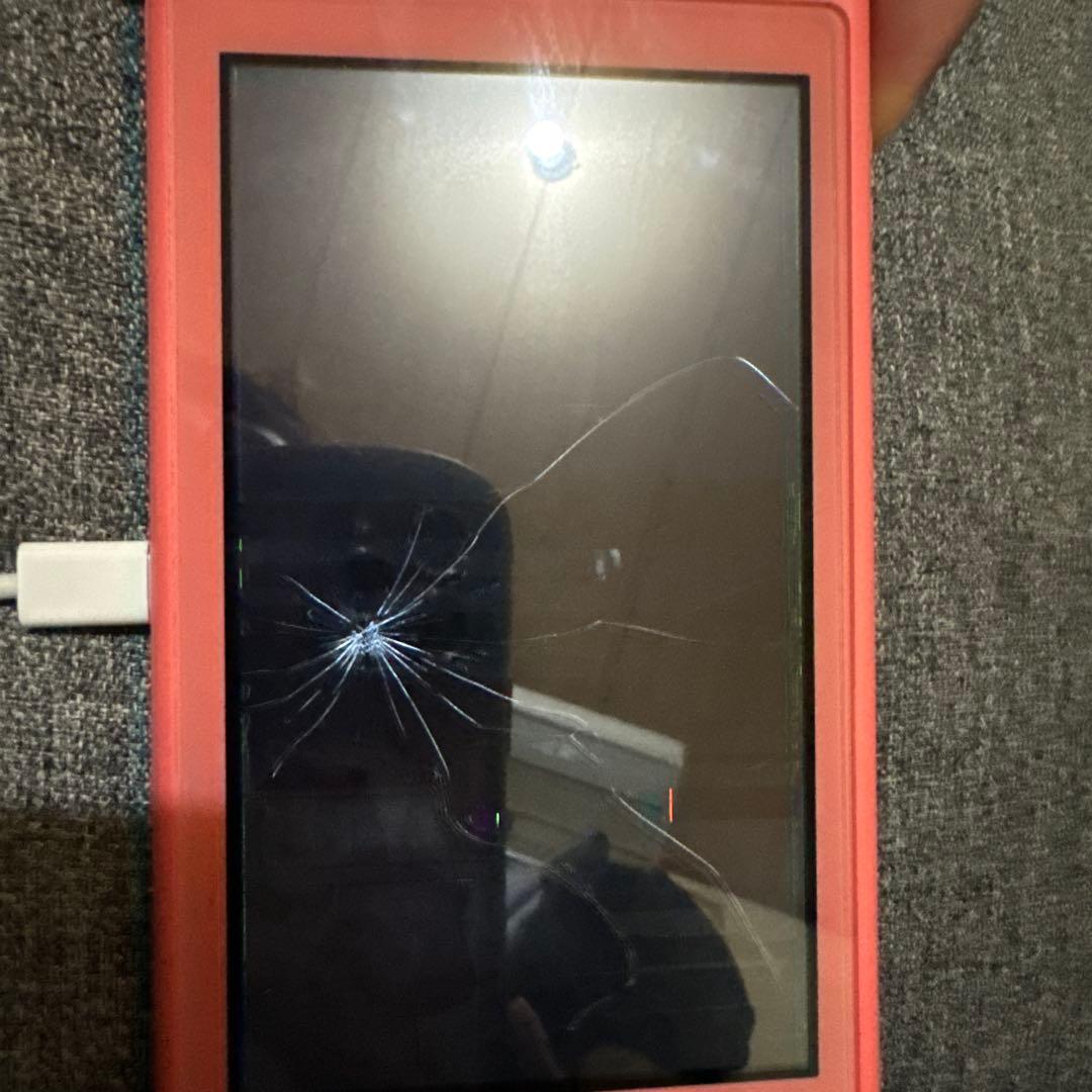 ニンテンドーSwitch Light ジャンク