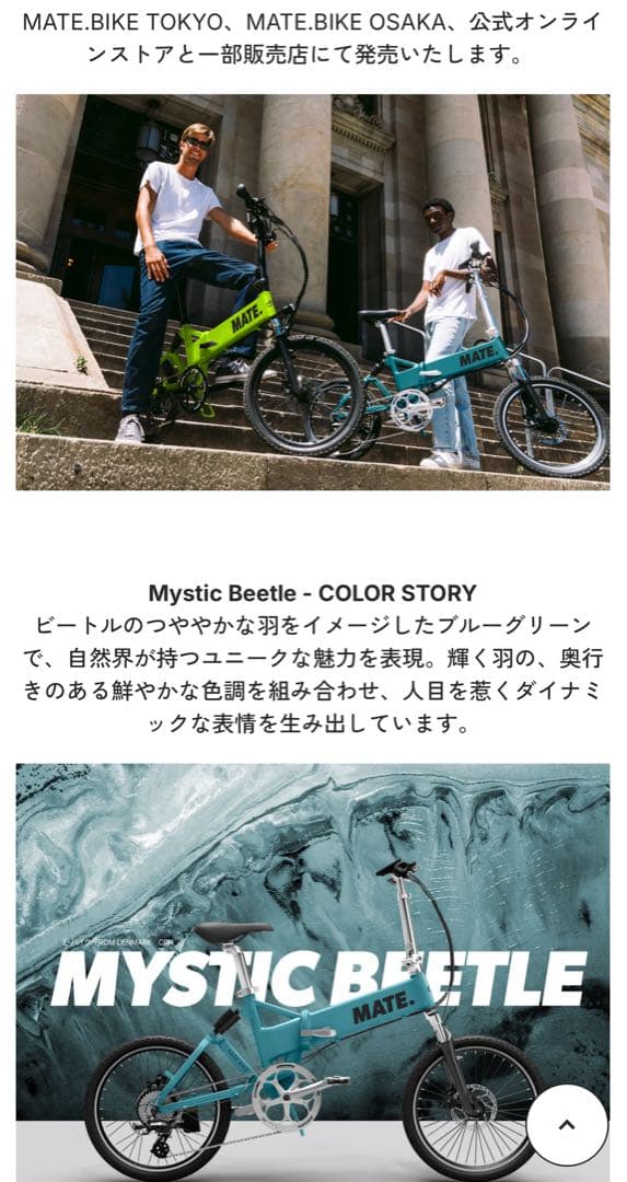 MATE City Mystic Beetle 純正オプション多数