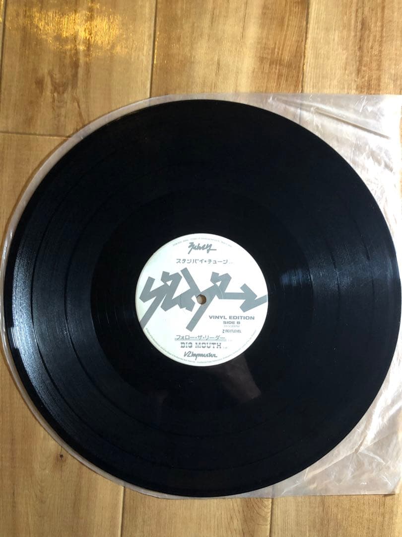 Rhymester / グレイゾーン　2LP