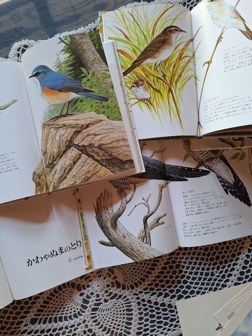 福音館 日本の野鳥 6冊セット 箱入り おまけ付 美品 薮内正幸