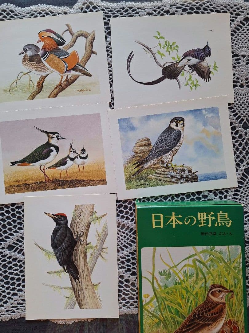 福音館 日本の野鳥 6冊セット 箱入り おまけ付 美品 薮内正幸