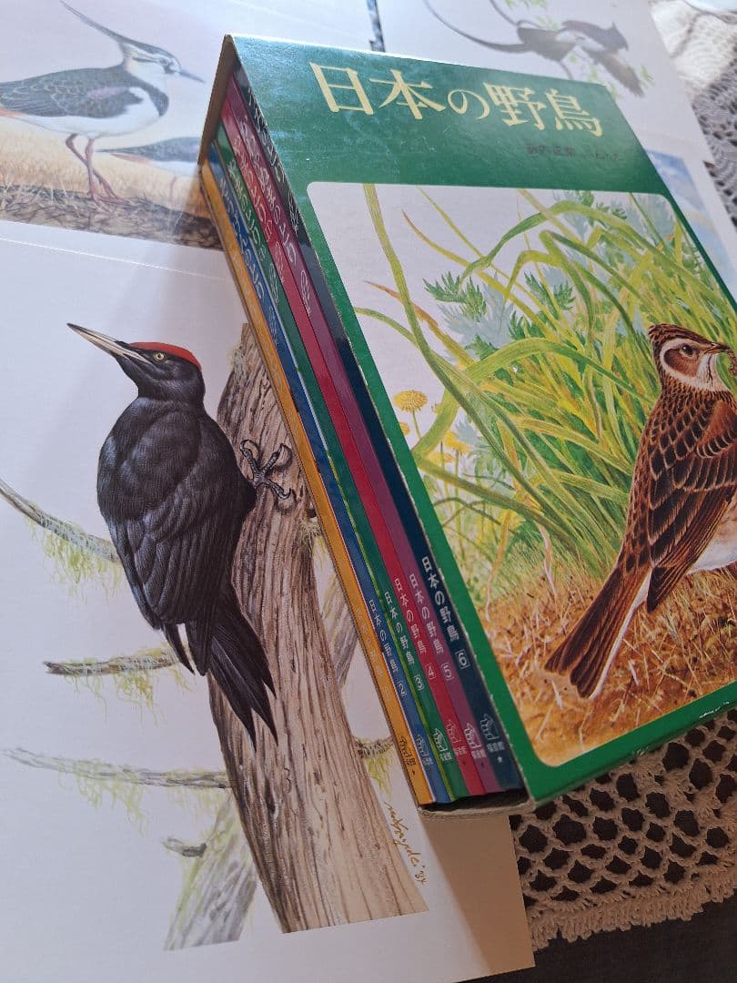 福音館 日本の野鳥 6冊セット 箱入り おまけ付 美品 薮内正幸