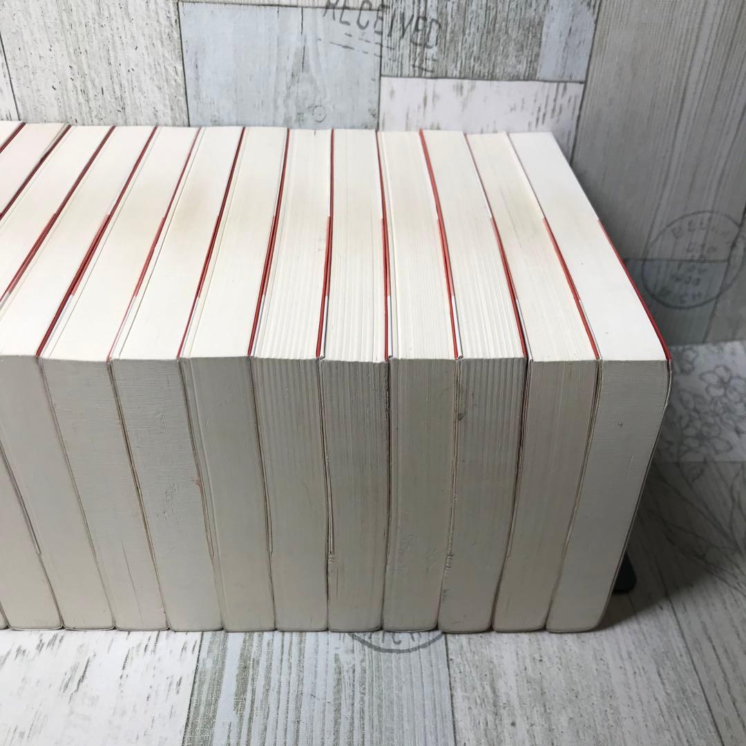 天は赤い河のほとり 文庫　全巻セット