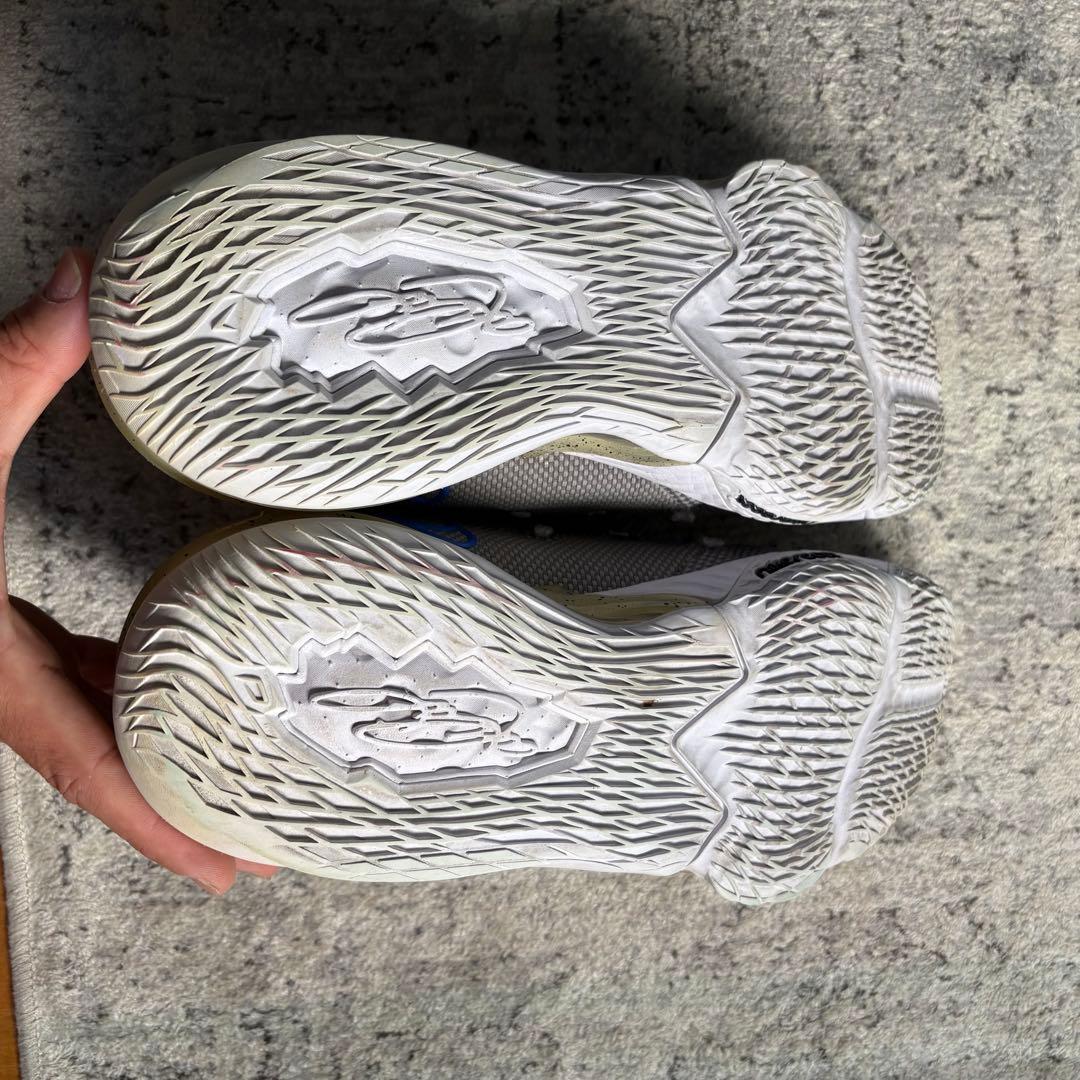 Nike Lebron17 レブロン17 NIKE グレー