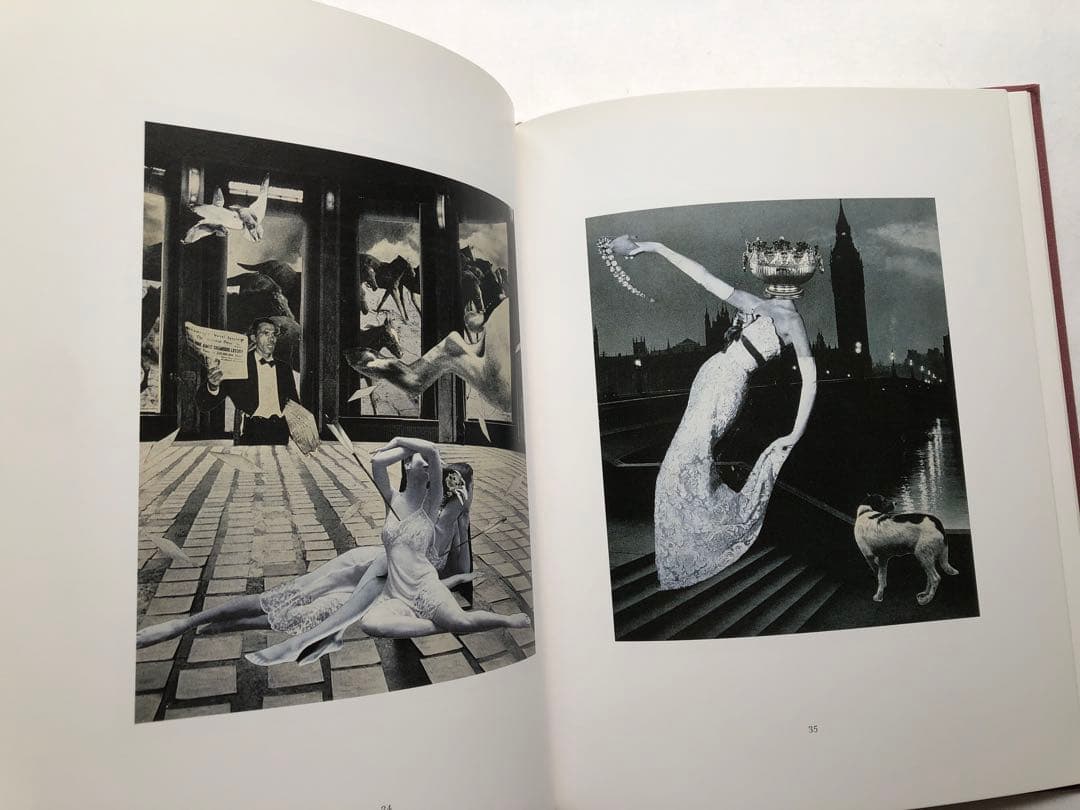 ね*り様 OROP OF DREAMS 洋書　写真集