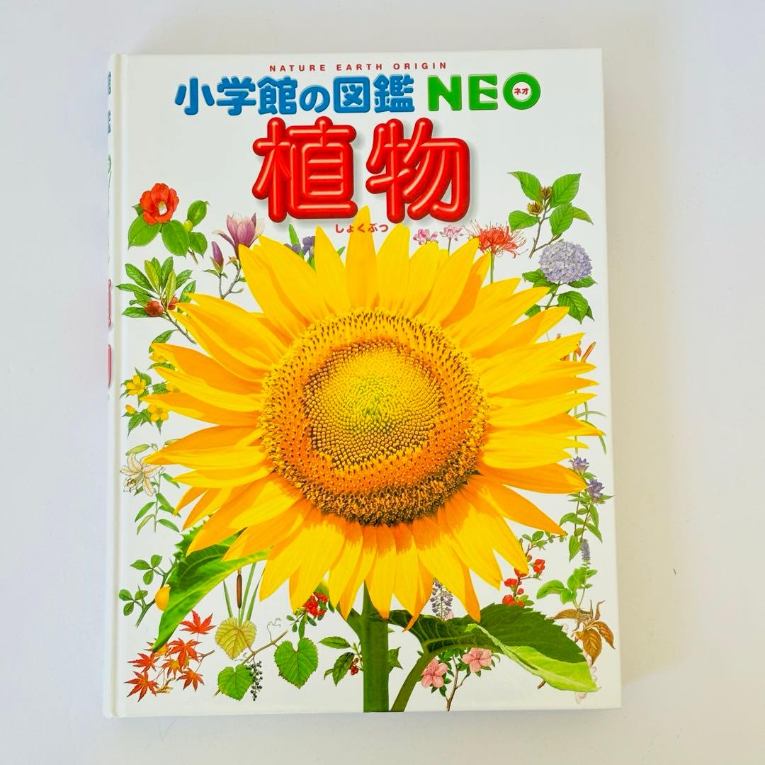 プレNEO くふう　せいかつ ふしぎ げんきの図鑑 4冊 セット図鑑NEO ５冊
