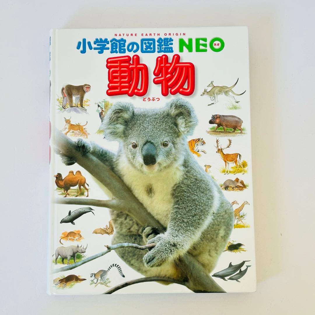 プレNEO くふう　せいかつ ふしぎ げんきの図鑑 4冊 セット図鑑NEO ５冊
