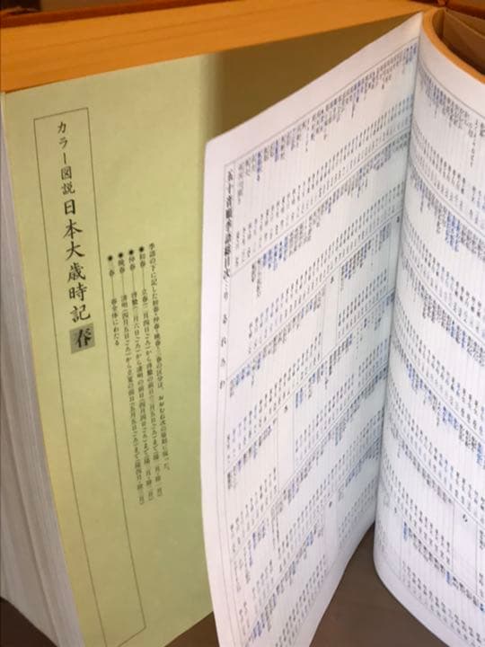 「カラー図説　日本大歳時記　座右版」
