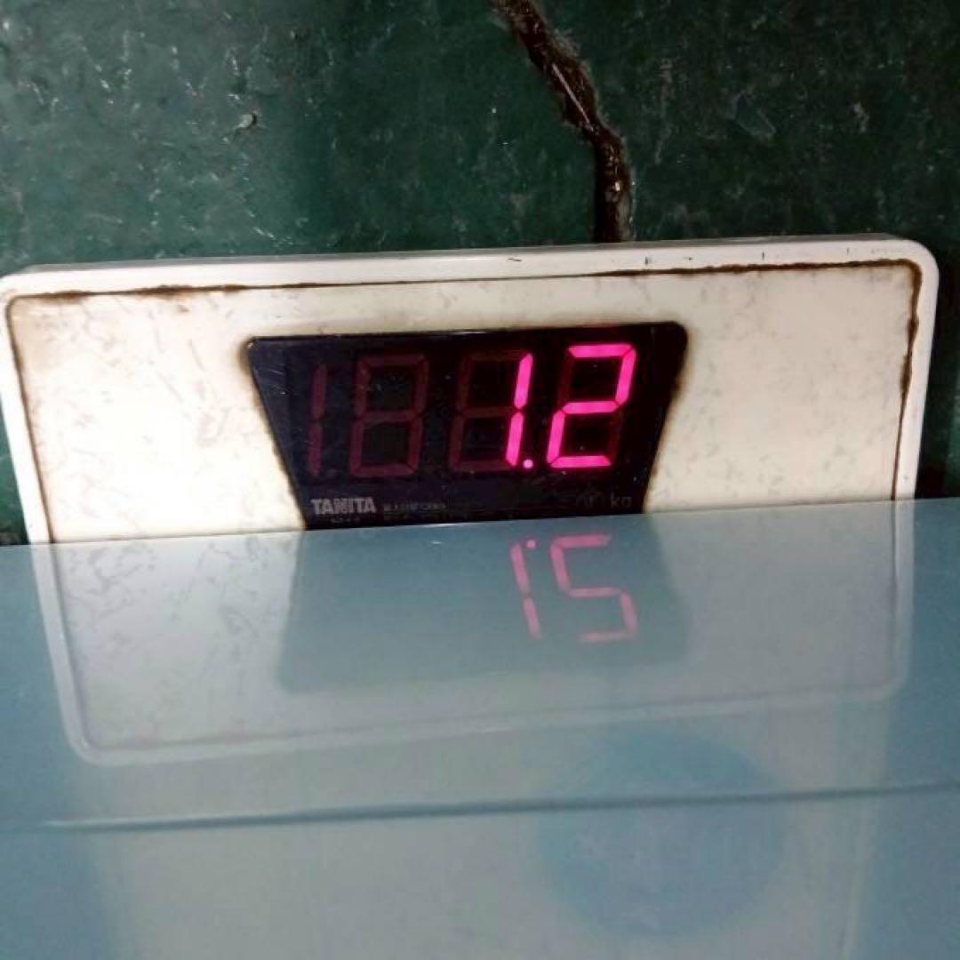 ⑫約256球➕①228球ダンロップ PRACTICE 中古硬式テニスボール