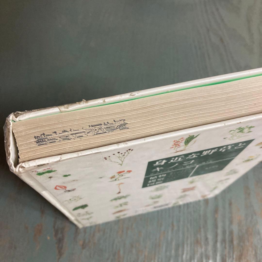 身近な野草とキノコ : 花のつくりがよくわかる植物観察図鑑 旺文社 松原巌樹