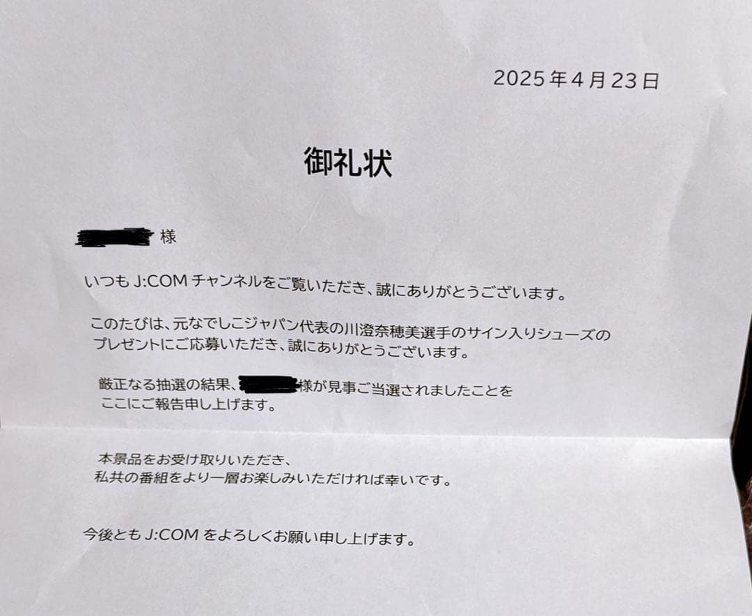 【HY1389様】元なでしこジャパン　川澄奈穂美　直筆サイン入り　シューズ