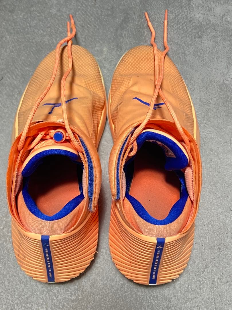 バスケットボールシューズJORDAN WHY NOT ZER0.1 27cm