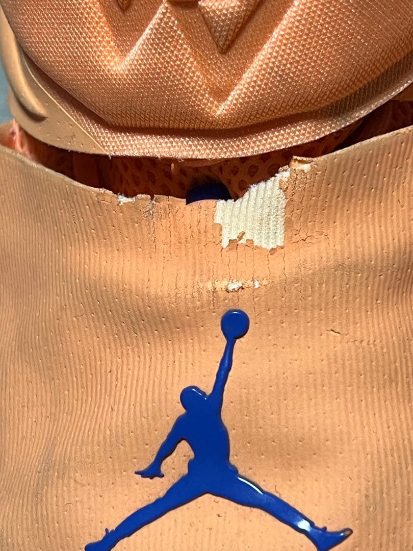 バスケットボールシューズJORDAN WHY NOT ZER0.1 27cm