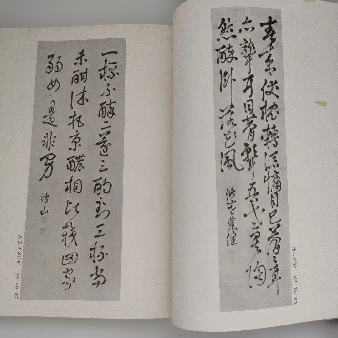 【限定300部】 高井鴻山 高井鴻山遺墨集刊行会 水墨画 文人画 書画 昭和
