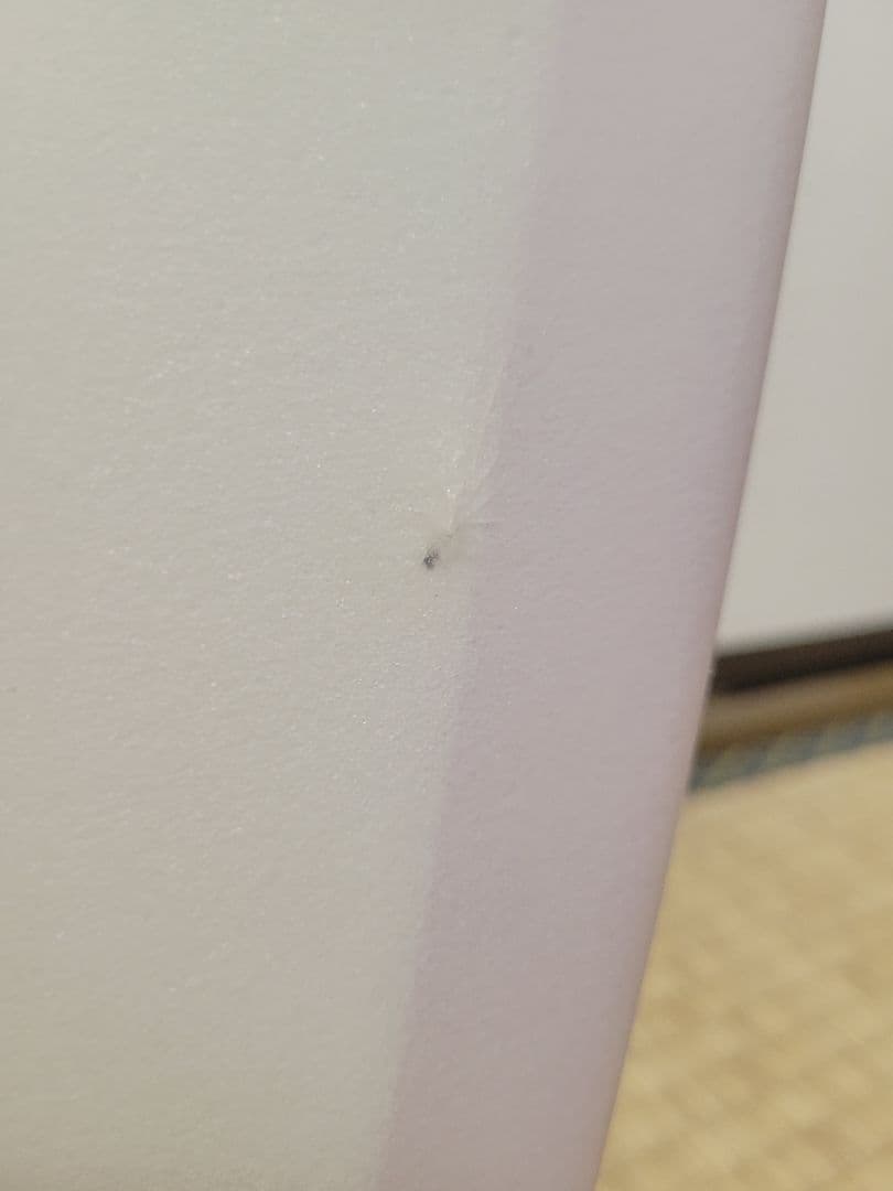 RYAN BURCH　Standard Fish 5.7　ライアンバーチ　薄紫