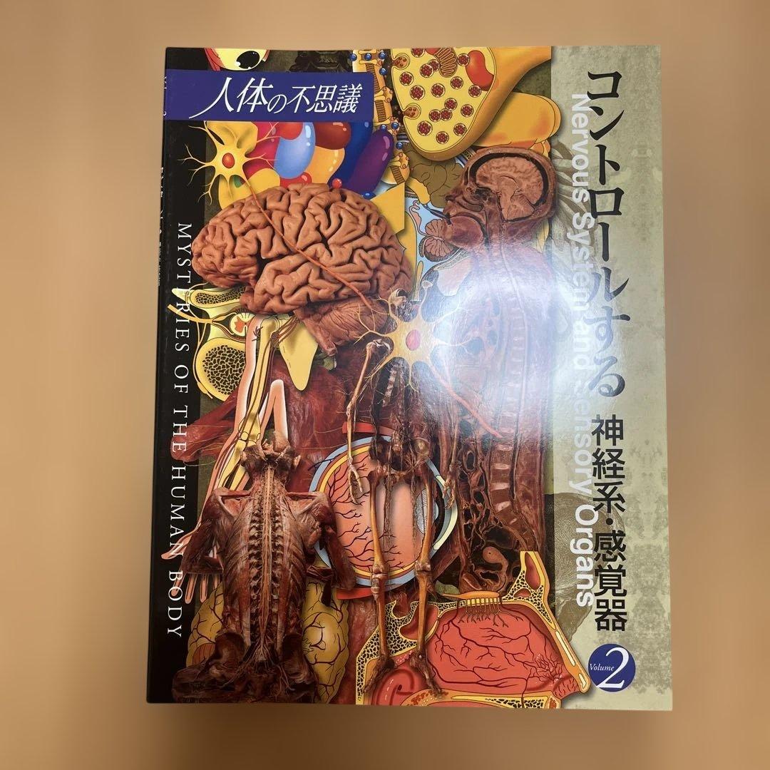 人体の不思議 全5巻セット