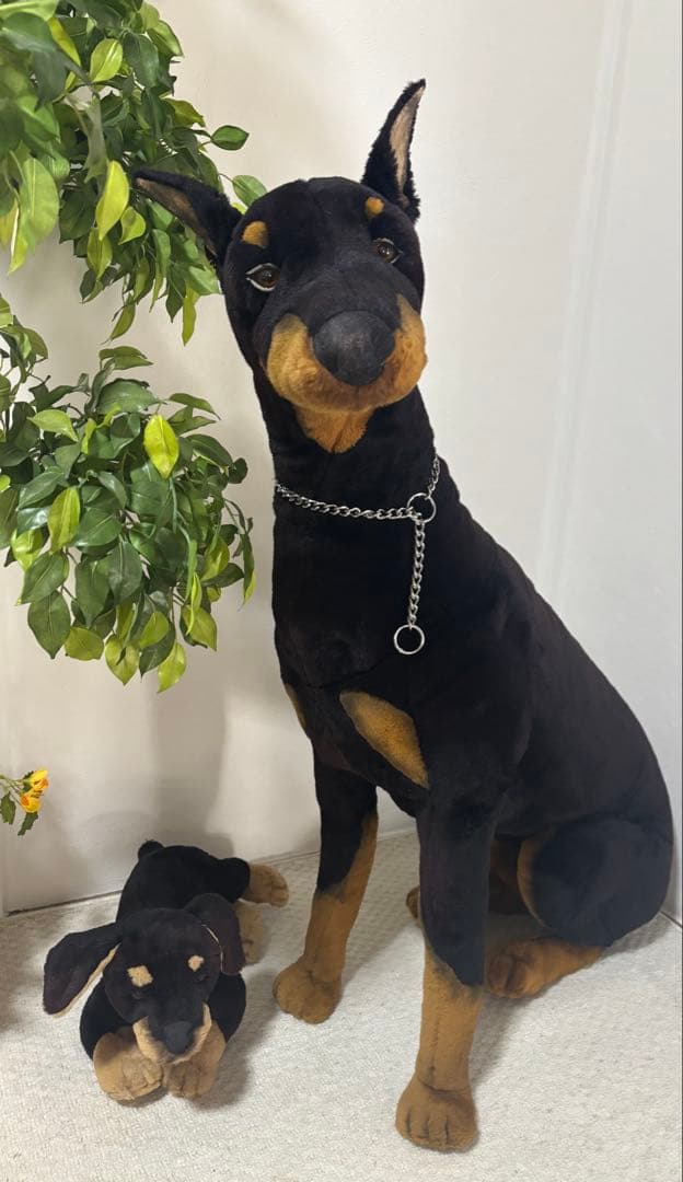 犬　ドーベルマン　リアル　ジョックライン 高さ約88cm イタリア製