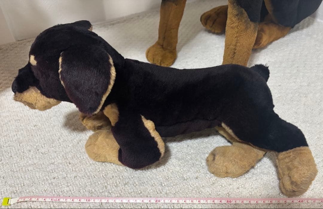 犬　ドーベルマン　リアル　ジョックライン 高さ約88cm イタリア製
