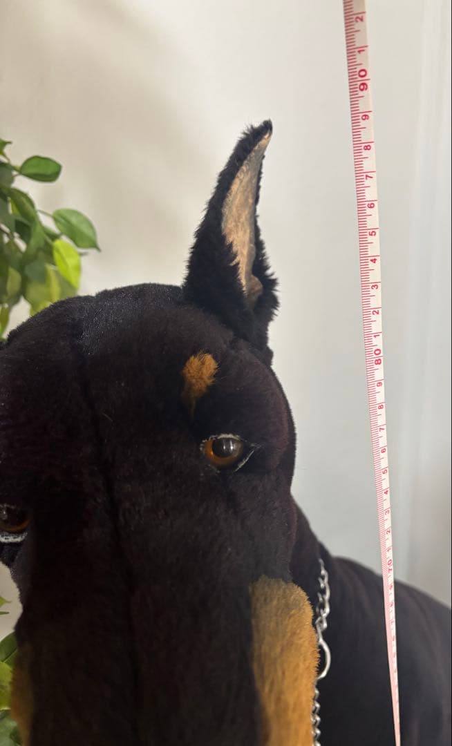 犬　ドーベルマン　リアル　ジョックライン 高さ約88cm イタリア製