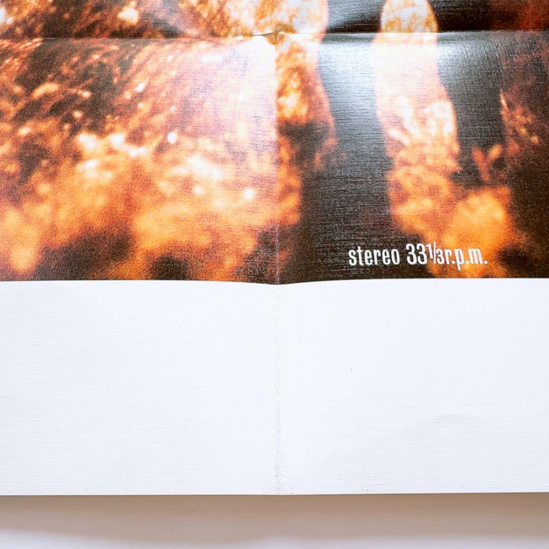 【極美品】D-DAY／GRAPE IRIS　LPレコード　ピクチャーディスク