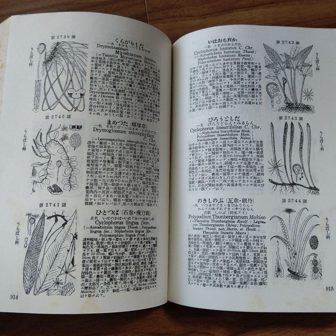 牧野日本植物図鑑　増補版