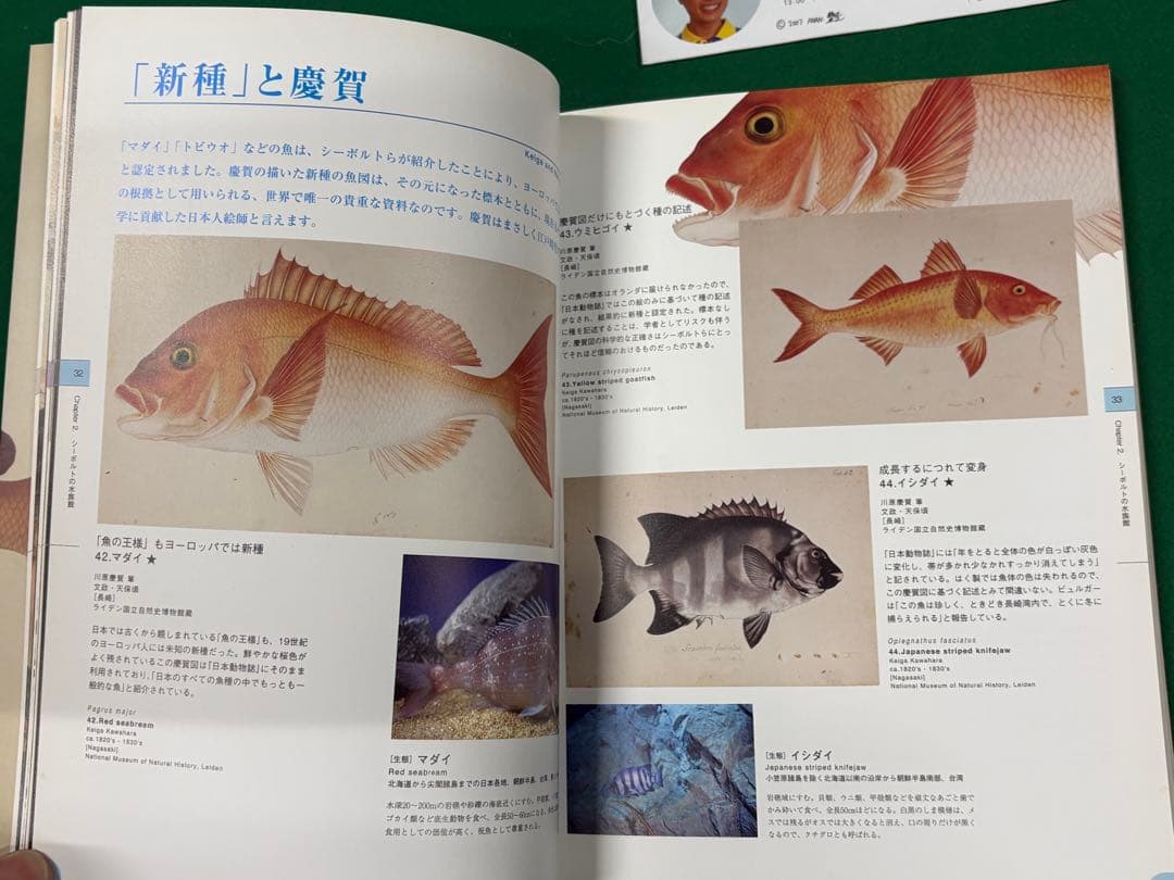 図録【シーボルトの水族館】正誤表、チケット半券、フライヤー付　川原慶賀 長崎