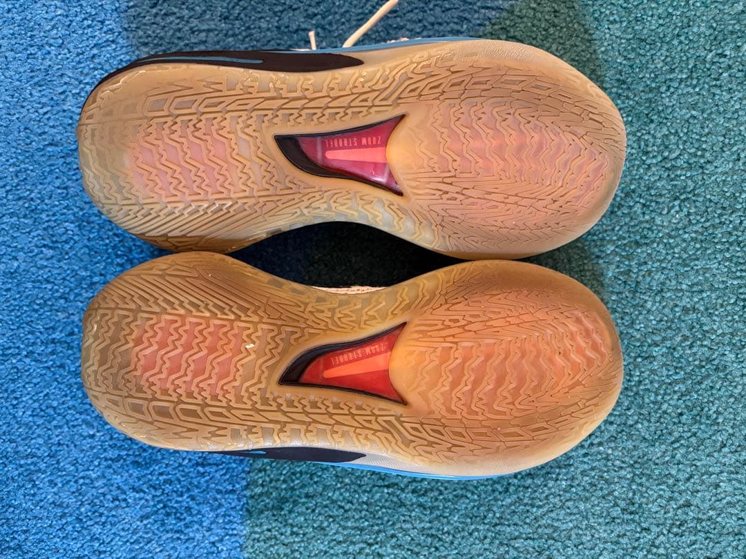 NIKE Air zoom gt cut 白