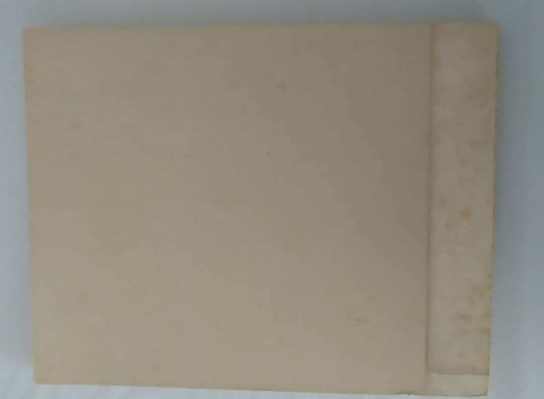 ホルスト・ヤンセン作品集 図録 画集 Horst Janssen