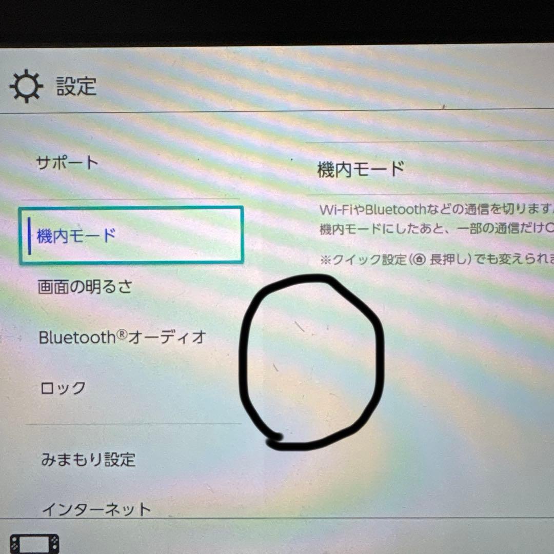 Nintendo Switch Lite グレー 本体 充電器、ケースつき