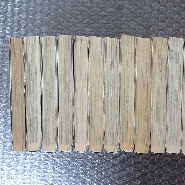 【あいこ】桜蘭高校ホスト部 全18巻 ＋ 小説版 セット