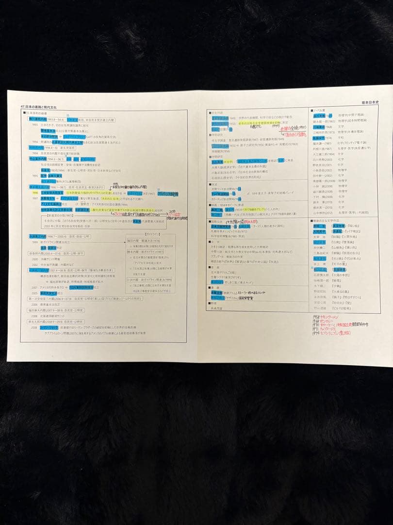 河合塾 日本史 坂本勝義プリント