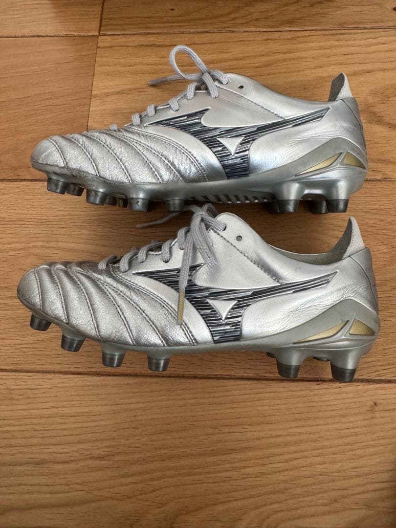 モレリアネオIV JAPAN 22cm