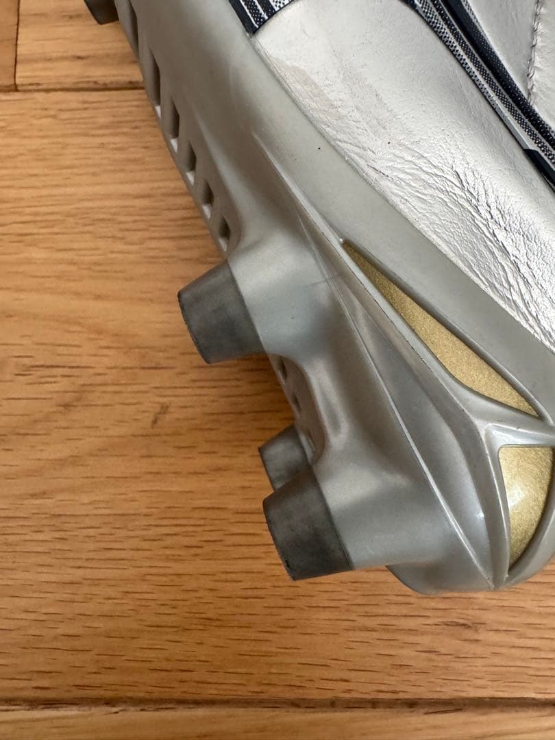 モレリアネオIV JAPAN 22cm