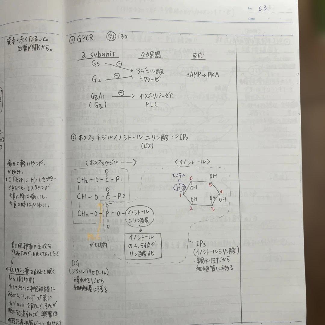 【クジラ様】KALS2025年度実戦ノートおよび細胞の分子生物学