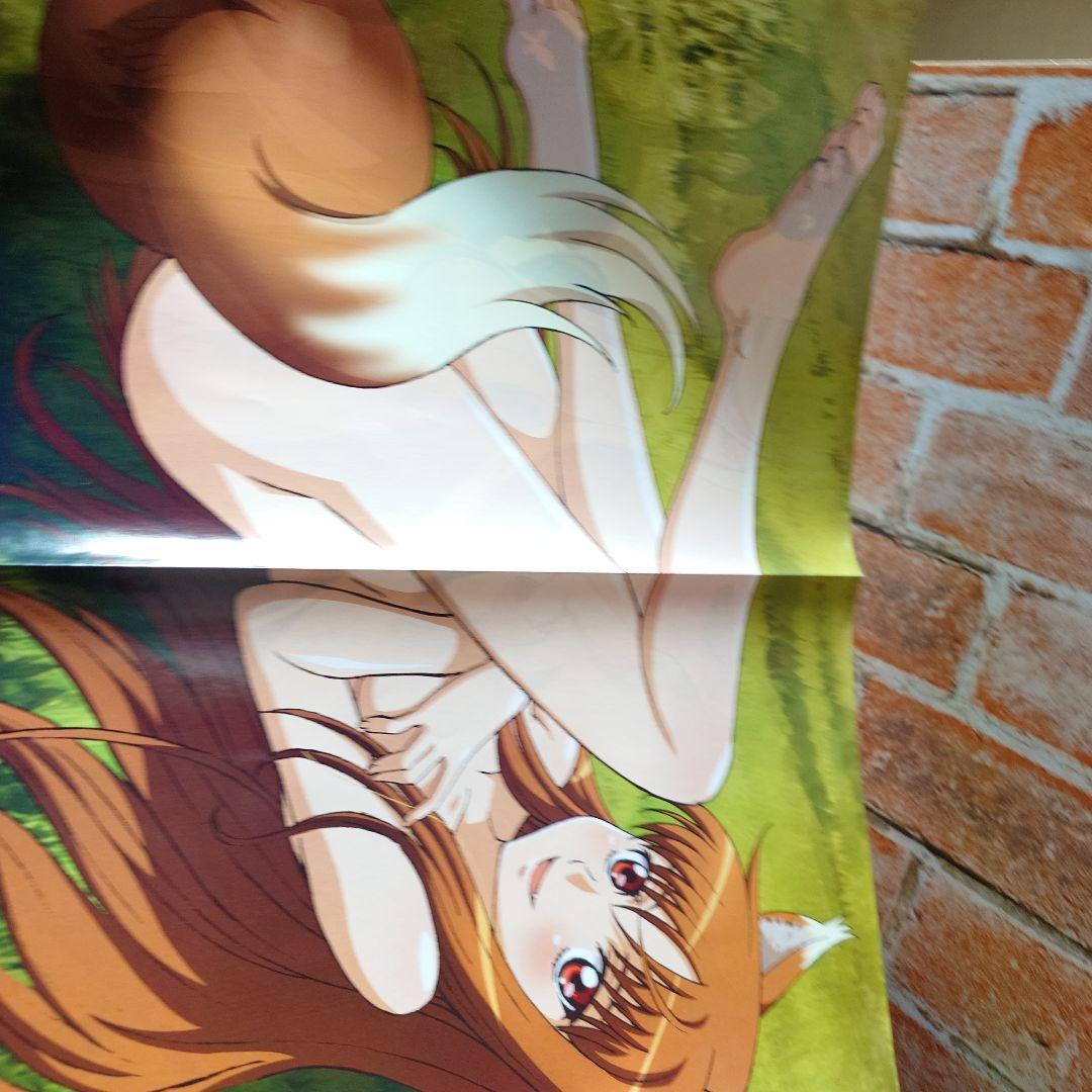 メガミマガジン　創刊10周年記念特別号　なのは大特集＆豪華付録つき！