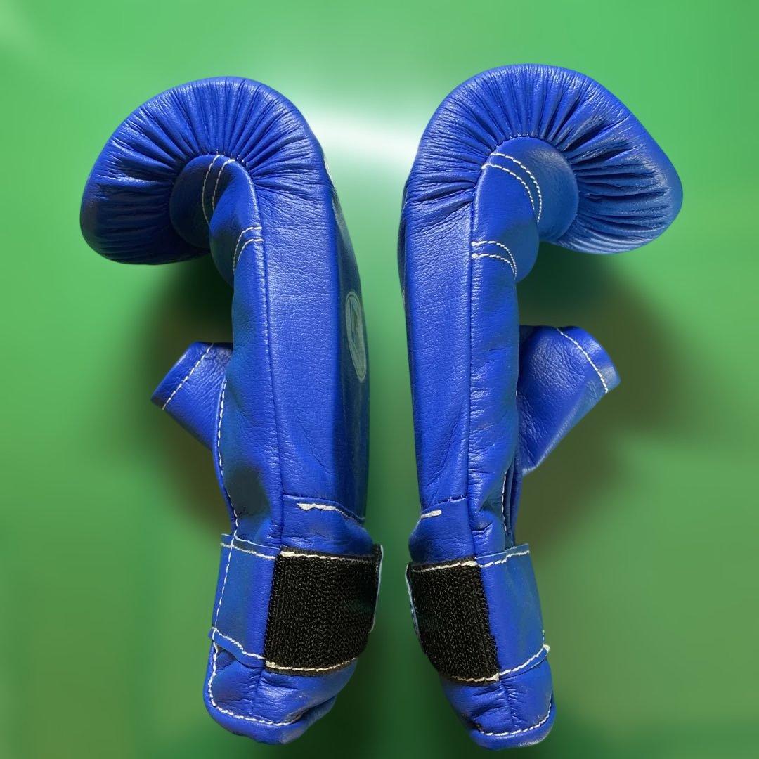 Winning SB−3000 パンチンググローブ　デラックスタイプ　青