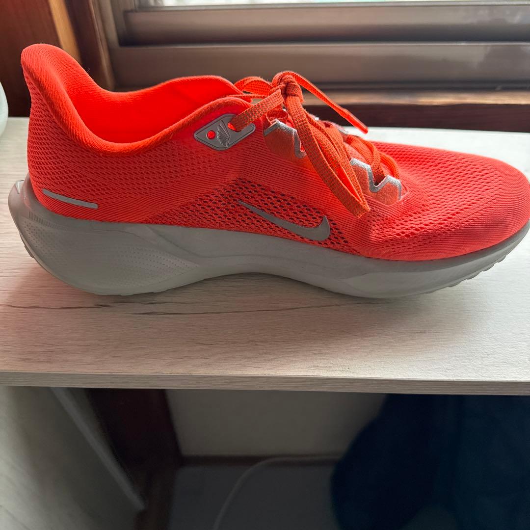 NIKE ペガサス41 26.5cm