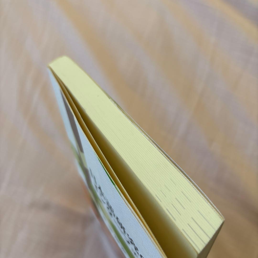 日本語研究のインターフェイス(帯付き) 著者: 三宅知宏　絶版本