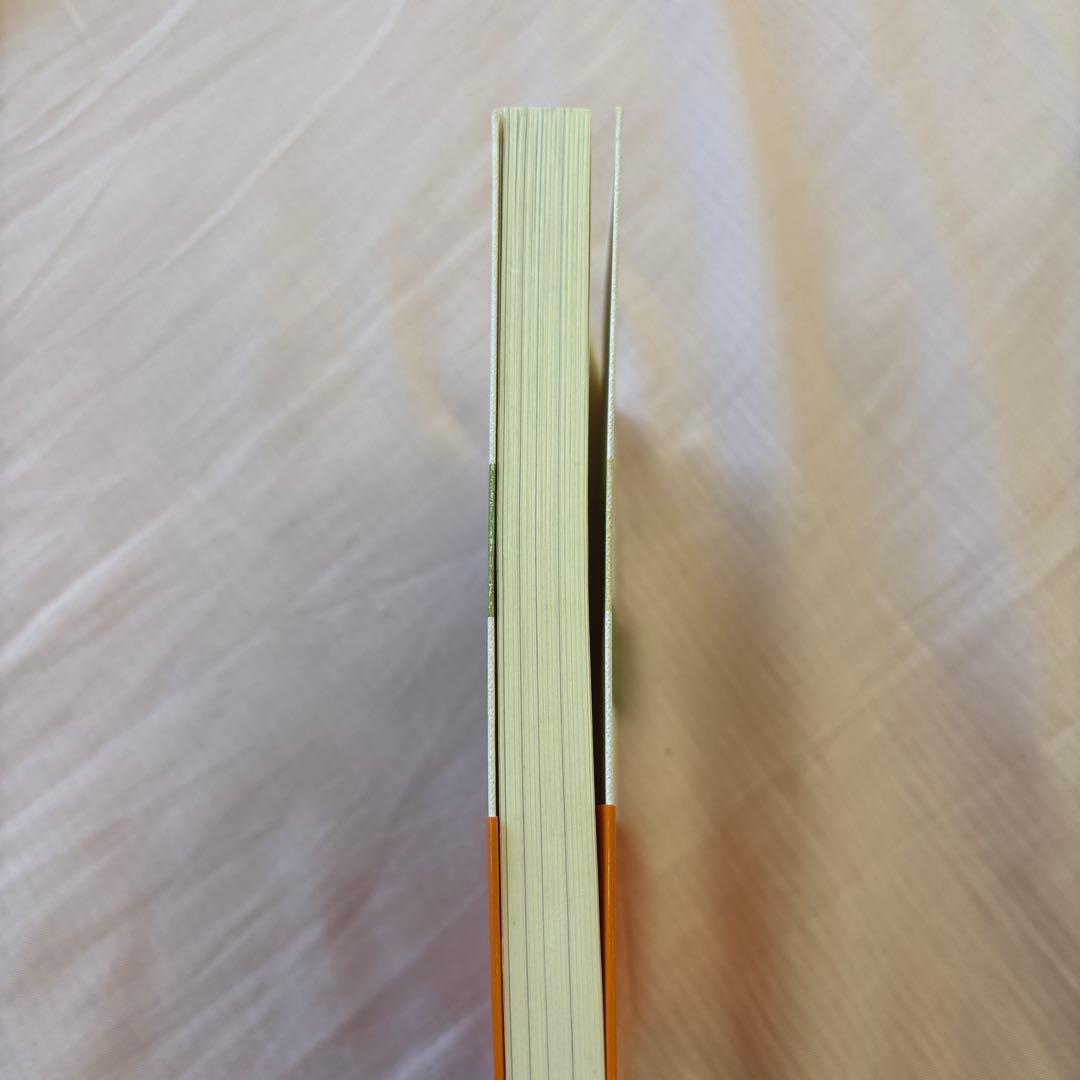 日本語研究のインターフェイス(帯付き) 著者: 三宅知宏　絶版本